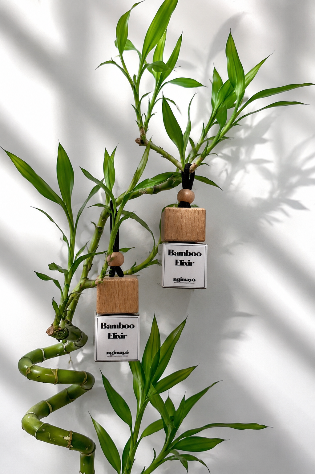 Bamboo Elixir Collection